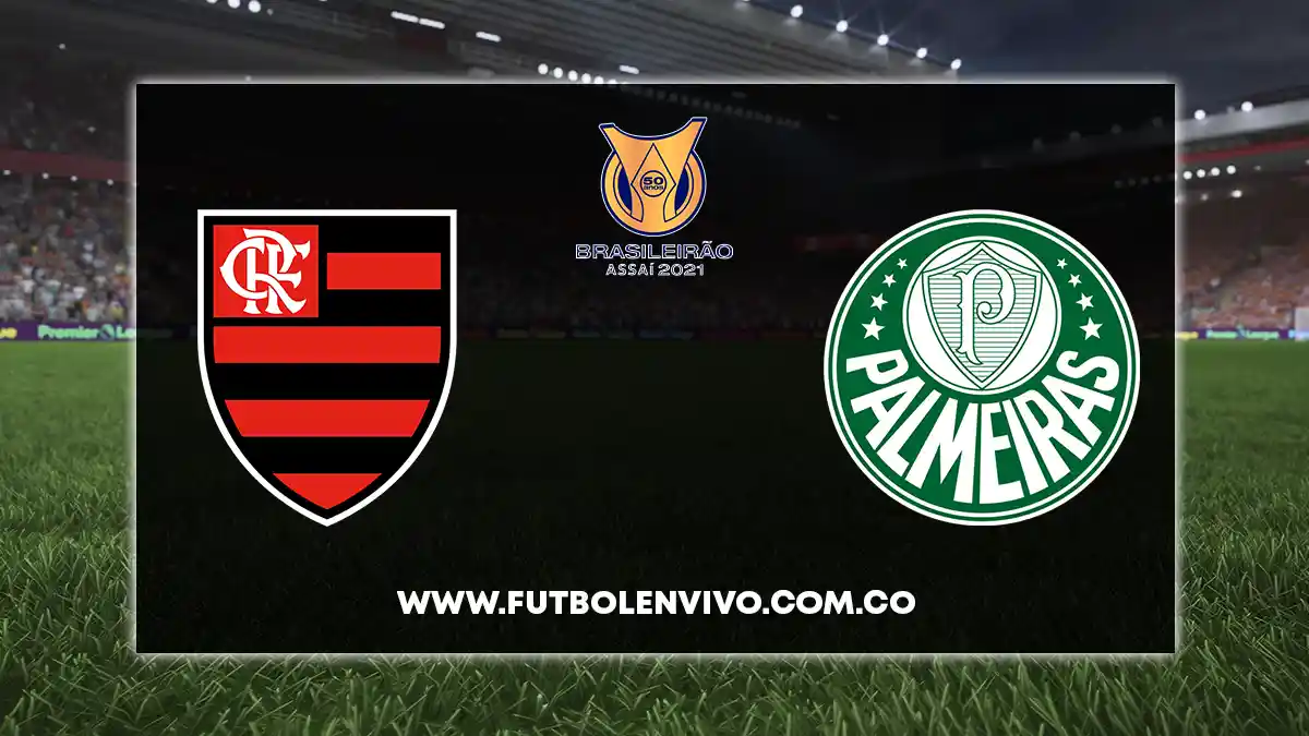 Flamengo vs Palmeiras EN VIVO hoy por Brasileirao