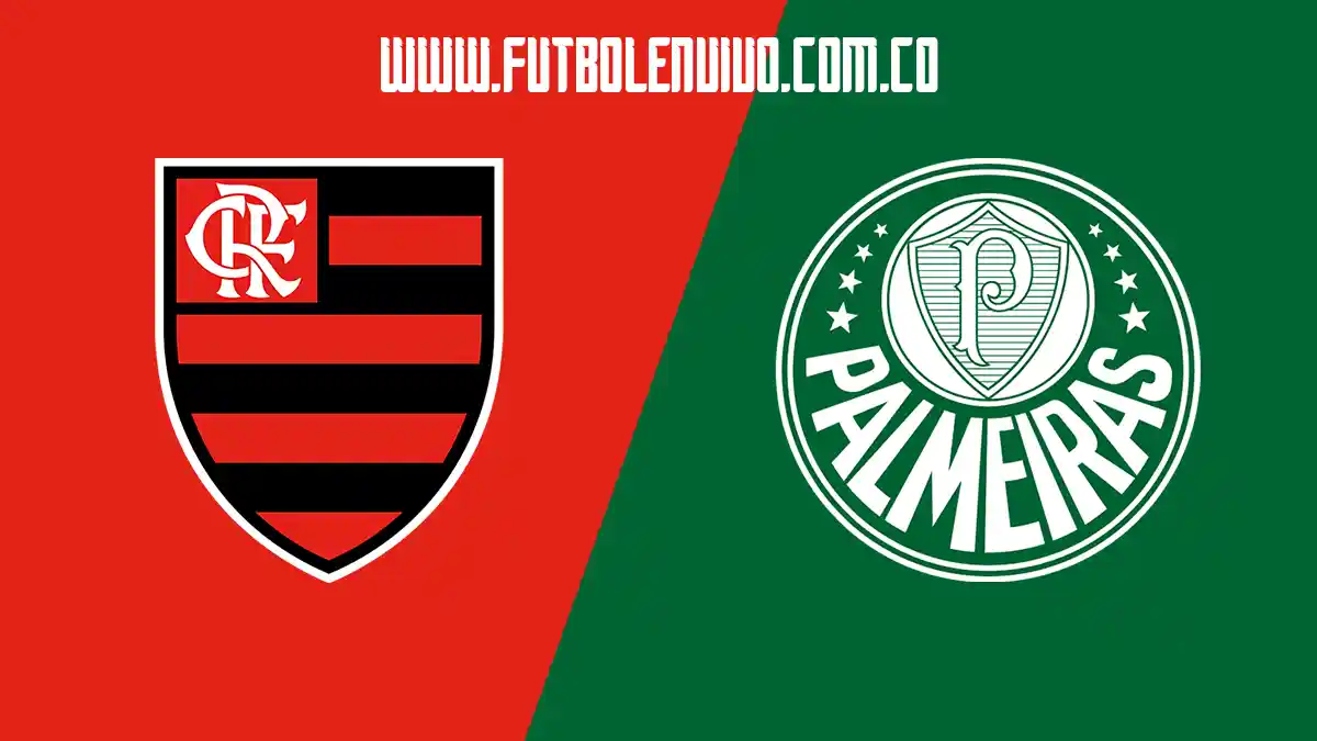 Ver partido Flamengo vs Palmeiras en directo gratis por Brasileirao